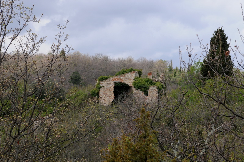 Paesaggio del Chianti